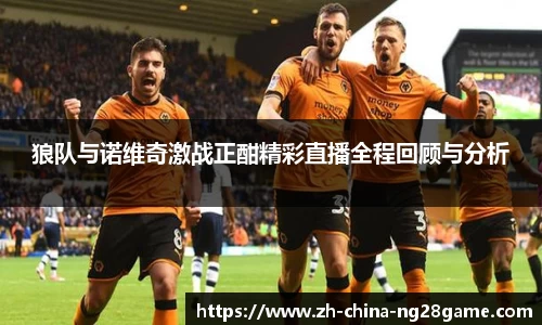 狼队与诺维奇激战正酣精彩直播全程回顾与分析