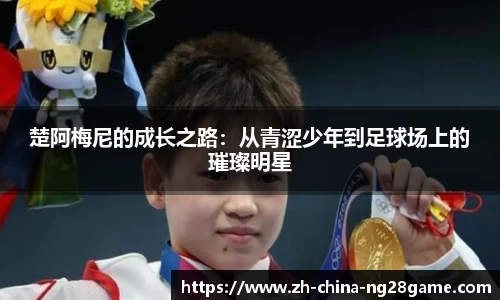 ng28官网