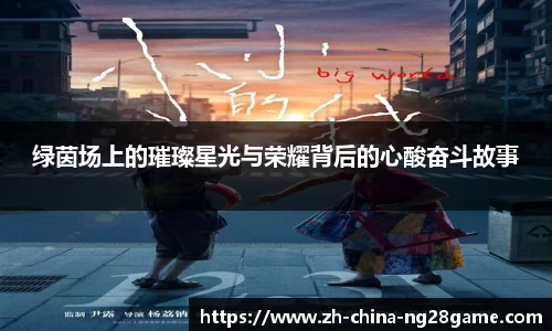 ng28官方网站